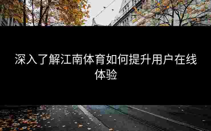 深入了解江南体育如何提升用户在线体验
