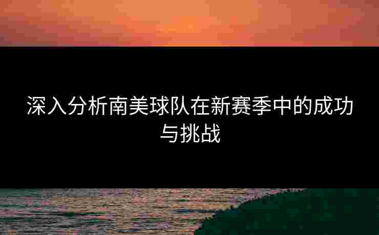 深入分析南美球队在新赛季中的成功与挑战